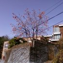 할머니두부정릉 이미지