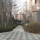 롯데강남공인중개사사무소 이미지