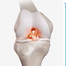 서울원병원 이미지