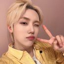 더바이닐 이미지