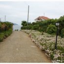 홍현황토휴양촌 이미지