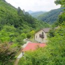 안성 서면농장 이미지