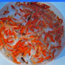 다루아쿠아 이미지