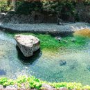 쉬어가는곳 이미지