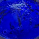 속초 오징어 어시장 이미지