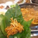 농부짱