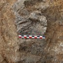 관북리유적 이미지