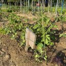 솔밭농장 이미지