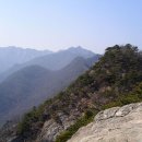계룡산 Daum카페