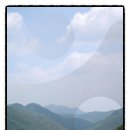 삼가향어 이미지