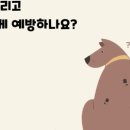 포레동물병원 이미지
