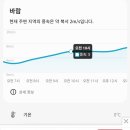 달리기기록84-2025 대구국제마라톤대회 10km
