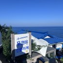 코야네일 | (동해/묵호/소품샵) 무코야선물가게 내돈내산 솔직후기