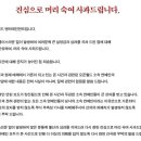 월드엔터테이먼트 이미지