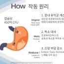 서정대학교 부설 반려동물센터(펫인쥬) | [파격세일] 레나딜 합리적인 가격에 구매 가능합니다! / 레나딜 해외 직배송 !