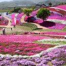 생초IC(대전)