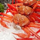 붉은대게(Red snowcrab. 紅ズワイガニ） 이미지