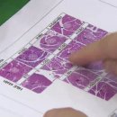 별이농장 이미지