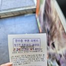 펫클럽춘천 - 춘천시 영서로 2153 | 펫클럽춘천