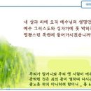 일일예화말씀묵상 2024년 10월 29일 (화) - 교통 위반 이미지