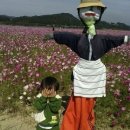가식 이미지