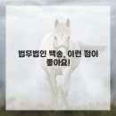 서초동 초석빌딩 이미지