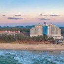 꽃지아일랜드 이미지