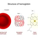 이나팜스 이미지