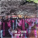 진해고등학교 | 진해 군항제 다녀왔어요ㅣ 여좌천 밤벚꽃 산책 후기