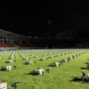 2024 성남뮤직페스티벌 이미지