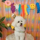 에바 가위컷 전문점 이미지