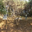 노작 홍사용 묘역 이미지