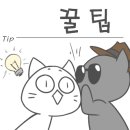 언더쉴드 이미지