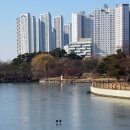일산 이미지