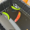 자매유통 | 목포간장게장추천, 섬드림자매꽃게장 간장게장! 짜지않고 삼삼한 암꽃게장 택배 추천 [내돈내산]