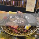 이쁜금송아지