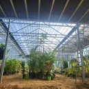 신원농장 | 야자농장 위치 공유합니다!