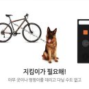 코너스톤스포츠 이미지