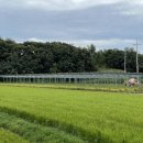 해바라기 태양광발전소 이미지