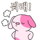 카오산푸드