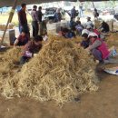 도원농원 이미지