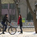 준세 이미지