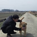 녹수 자견 새로운 견주님을 만나다. 이미지
