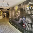 산동숲유치원 이미지