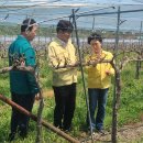 서리축산 이미지