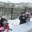 용인대 석사 서울시 대표 태권도 이미지