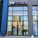 살롱(salon), 248