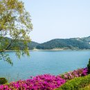 화진포역사안보전시관 이미지