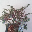 (주)이작 이미지