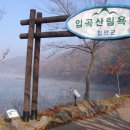 참숫갈비마을 Daum카페